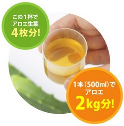 ���n�A���G�܂邲�Ə����ڂ�̔��T�C�g��