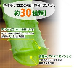 ���n�A���G�܂邲�Ə����ڂ�̔��T�C�g��