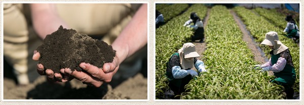 ���n�A���G�܂邲�Ə����ڂ�̔��T�C�g��