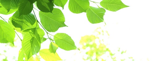 ���n�A���G�܂邲�Ə����ڂ�̔��T�C�g��